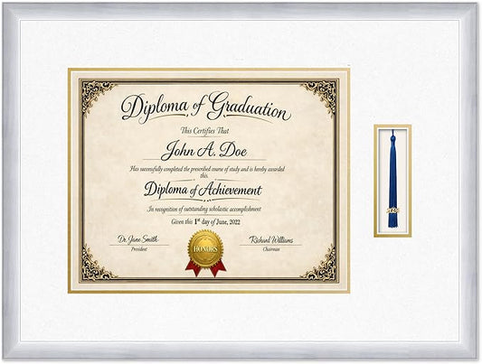 Diploma Frame with Tassel Holder 25.25 x 19 Stainless Silver Shadowbox Oyster Shell Over Gold Mat - Fits 15 x 12 Degree Made in the USA