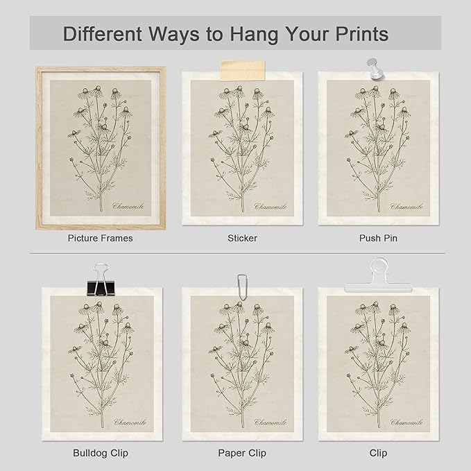 SIGNWIN Poster Wall Art Set of Wildflower, Botanical Floral, Minimalist Decor, Vintage Poster for Living Room, Bedroom, Office - 12"x16"x 8