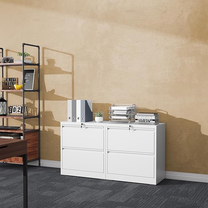 File Cabinet with Lock, 2 Drawer Filing Cabinets for Home Office, Metal Heavy Duty Lateral File Cabinet for Hanging Letter/Legal/F4/A4 Size Files, Assembly Required (White)