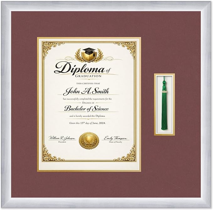 CountryArtHouse Diploma and Tassel Frame Fits 10 x 13 College Diploma (Portrait Traditio Stainless Silver Genuine Hardwood Shadowbox with Dark Red Over Metallic Gold Double mat