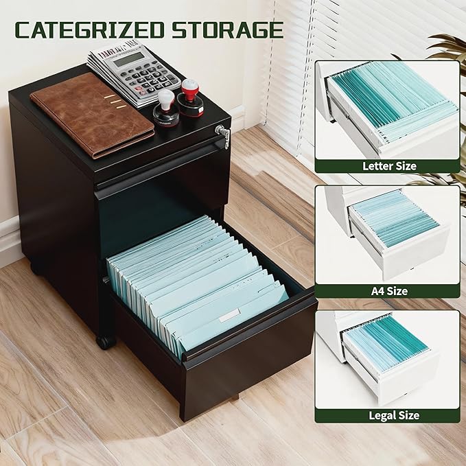 2 Drawer File Cabinet with Lock,Rolling Filing Cabinet with Wheels for Home Office,Under Desk Metal File Cabinet,Office Storage Organizer,Black