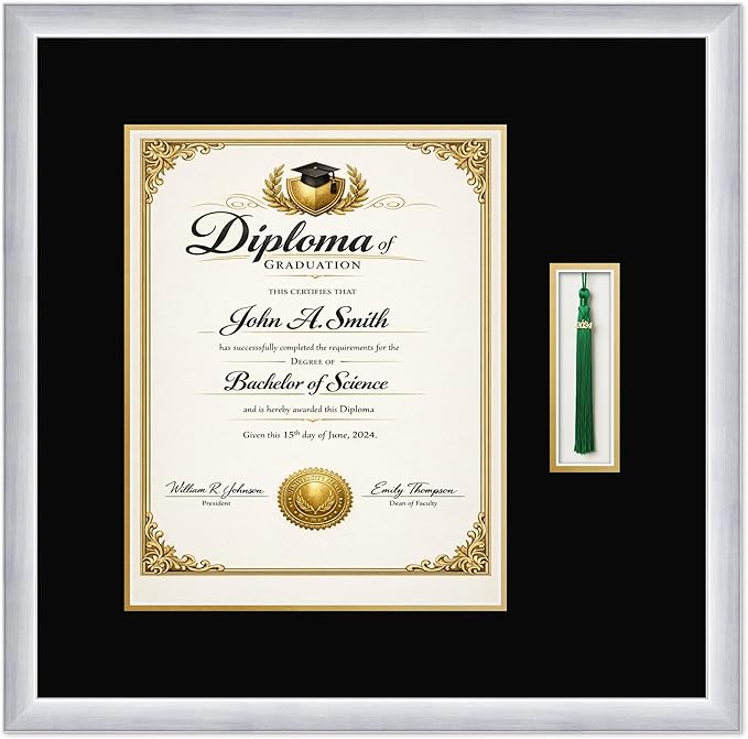CountryArtHouse Diploma and Tassel Frame Fits 11 x 14 College Diploma (Portrait) with Tasse Stainless Silver Genuine Hardwood Shadowbox with Black Over Metallic Gold Double mat
