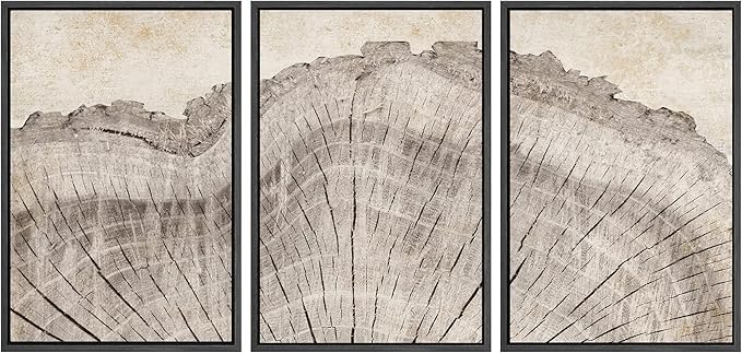 SIGNWIN Framed Canvas Print Wall Art Set Retro Close Up Oak Wood Tree Rings Nature Wilderness Illustrations Modern Art Decorative Farmhouse Zen for Living Room, Bedroom, Office - 16"x24"x3 Black