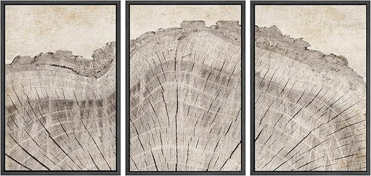 SIGNWIN Framed Canvas Print Wall Art Set Retro Close Up Oak Wood Tree Rings Nature Wilderness Illustrations Modern Art Decorative Farmhouse Zen for Living Room, Bedroom, Office - 16"x24"x3 Black