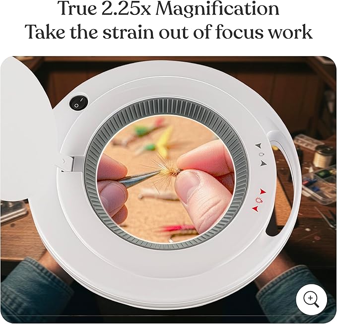 Brightech LightView Pro Magnifying Glass with Light and Stand, Magnifying Floor Lamp with a 6-Wheel Rolling Base for Facials, Lash Estheticians, Dimmable LED Work Light for Sewing, Crafts