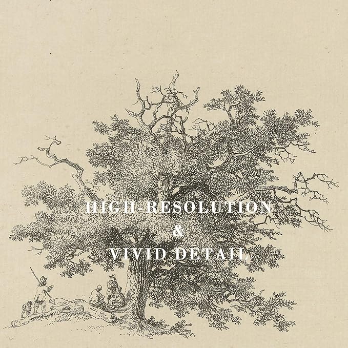 Kizbok Vintage Wall Art Prints, Farmhouse Tree Sketch Landscape Painting Prints for Wall Decor, Antique Whimsical Woodland Scene Nature Forest Art Pictures for Bedroom, Rustic Neutral Vintage Siege Green Artwork Poster for Bathroom Bedroom Gallery Home...