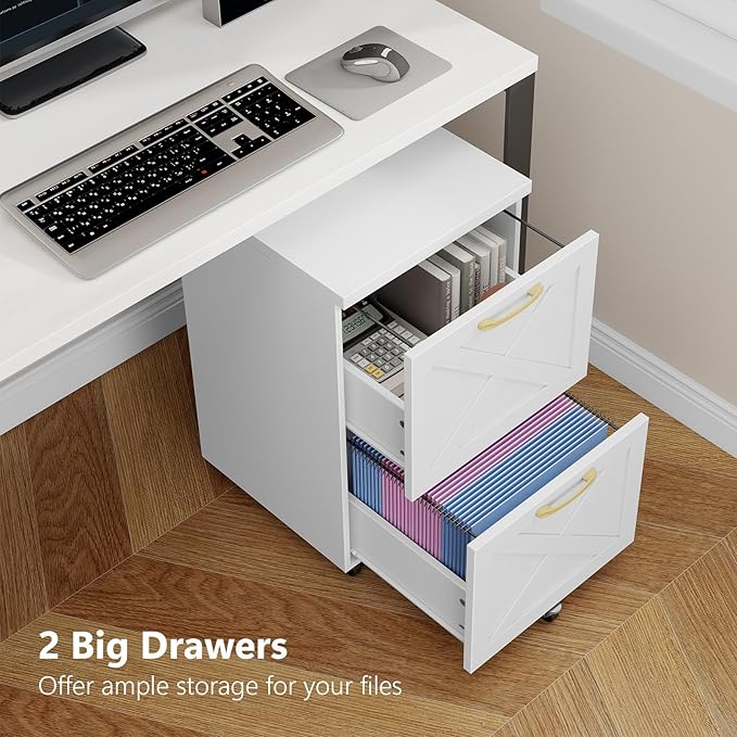 Vabches Farmhouse File Cabinet with 2 Drawers, Modern White