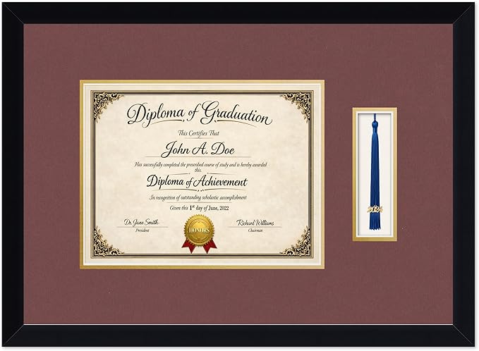 Diploma Frame with Tassel Holder Matte Black Shadowbox Dark Red Over Gold Mat - Fits 11 x 8.5 Degree Made in the USA