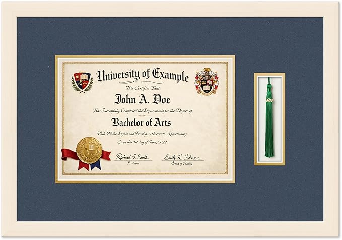 CountryArtHouse Diploma and Tassel Frame Fits 11.69 x 8.27 A4 Certificate with TASS Coastal Whitewash Genuine Hardwood Shadowbox with Navy Blue Over Metallic Gold Double mat