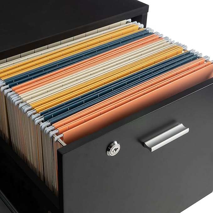 File Cabinet - 2-Drawer Cabinet with Lock and Deep Drawer Storage - Rolling Filing Cabinet for Under The Desk, Home, or Office by Lavish Home (Black)