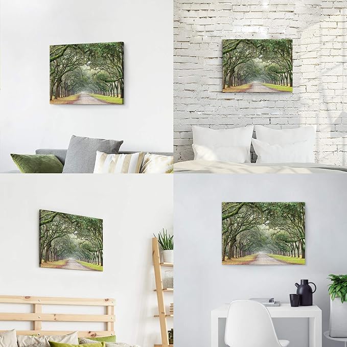 Hardy Gallery Landscape Artwork Pictures Canvas Prints: Spanish Moss Covered Green Oak Trees on Forest Path in Fall Photographic Image for Wall Arts (24" x 18")