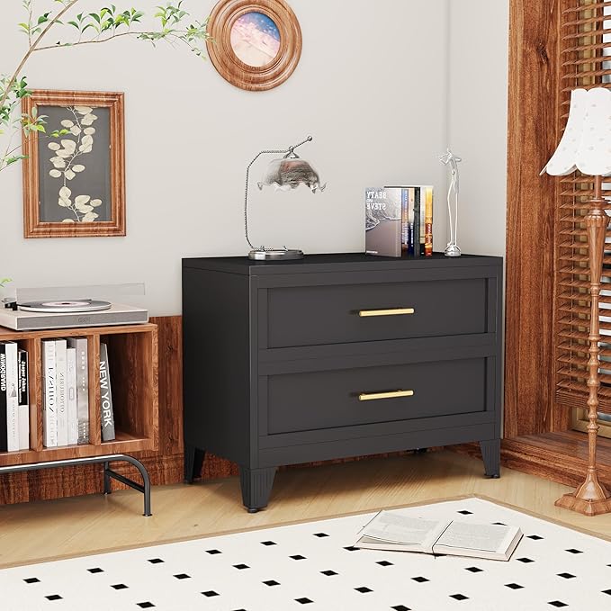 Dresser for Bedroom 2 Drawers, Metal Dresser Chest of Drawers, can be Used as Nightstand, Side Table, Under Desk Steel File Cabinet for Home Office Storage Small Size Files (Black)