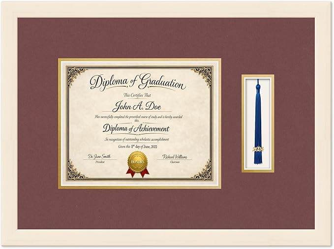 Diploma Frame with Tassel Holder Coastal Whitewash Shadowbox Dark Red Over Gold Mat - Fits 10 x 8 Degree Made in the USA