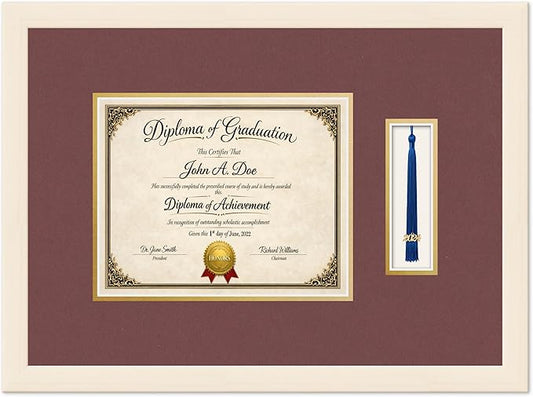 Diploma Frame with Tassel Holder Coastal Whitewash Shadowbox Dark Red Over Gold Mat - Fits 10 x 8 Degree Made in the USA