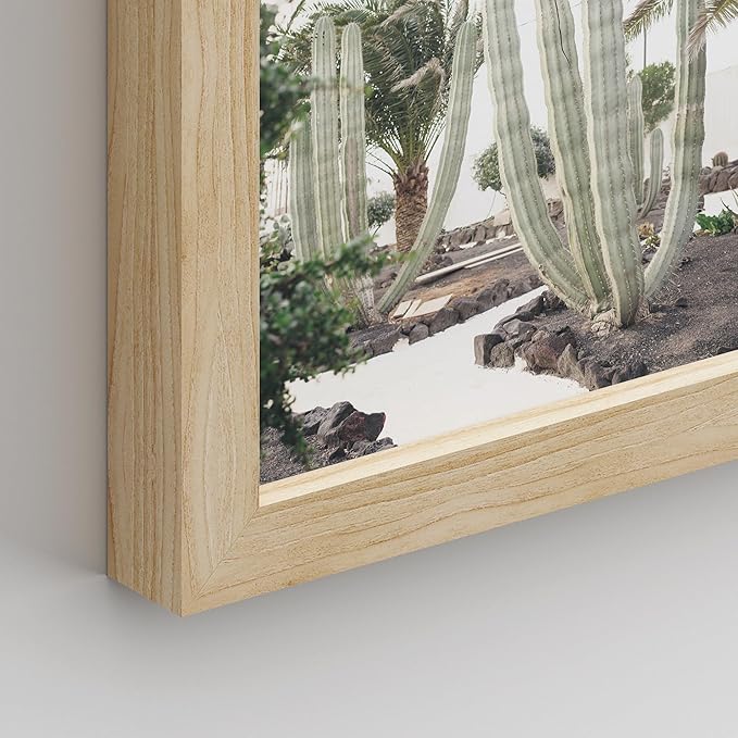 SIGNWIN Framed Poster Wall Art Set of Cactus Desert Nature Wilderness for Living Room, Bedroom, Office - 8"x10"x 8 Natural