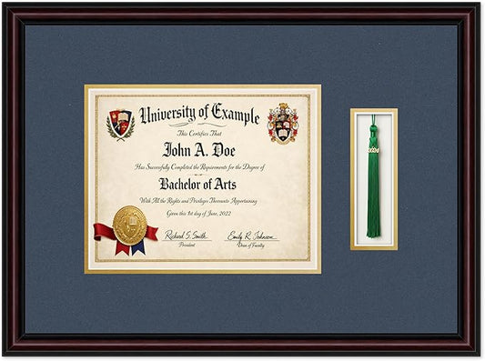 Diploma and Tassel Frame Fits 10 x 8 Professional License with Tassel Ho Executive Brown Genuine Hardwood Shadowbox with Navy Blue Over Metallic Gold Double mat