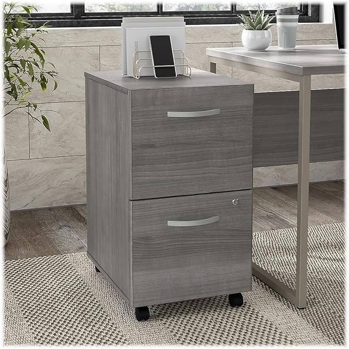 Bush Business Furniture Hybrid 2 Drawer Mobile File Cabinet-Assembled, Platinum Gray
