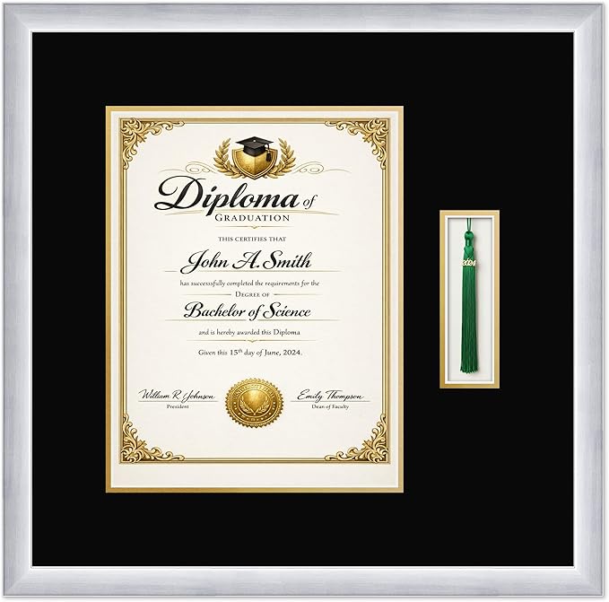 CountryArtHouse Diploma and Tassel Frame Fits 10 x 13 College Diploma (Portrait Traditional Stainless Silver Genuine Hardwood Shadowbox with Black Over Metallic Gold Double mat