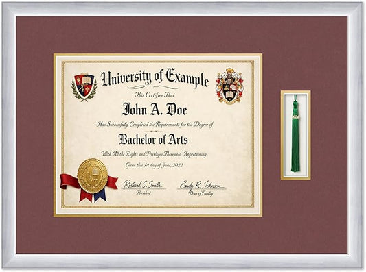 CountryArtHouse Diploma and Tassel Frame Fits 14 x 11 College Diploma (Modern) with TASS Stainless Silver Genuine Hardwood Shadowbox with Dark Red Over Metallic Gold Double mat