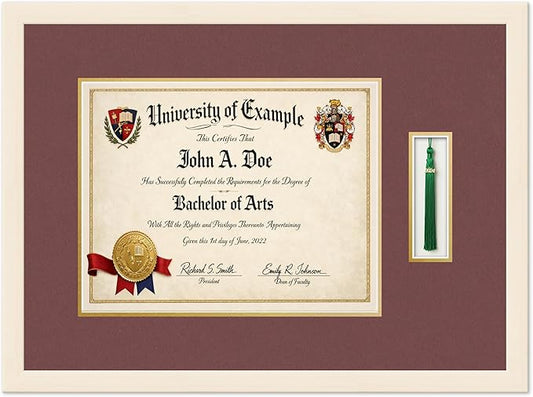Diploma and Tassel Frame Fits 14 x 11 College Diploma (Modern) with Tas Coastal Whitewash Genuine Hardwood Shadowbox with Dark Red Over Metallic Gold Double mat