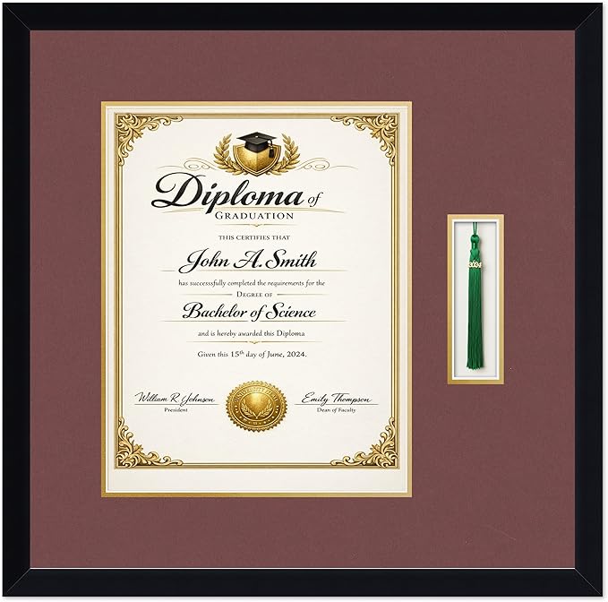 CountryArtHouse Diploma and Tassel Frame Fits 11 x 14 College Diploma (Portrait) with Tassel Matte Black Genuine Hardwood Shadowbox with Dark Red Over Metallic Gold Double mat