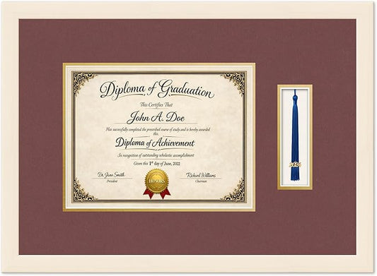 Diploma Frame with Tassel Holder Coastal Whitewash Shadowbox Dark Red Over Gold Mat - Fits 11 x 8.5 Degree Made in the USA