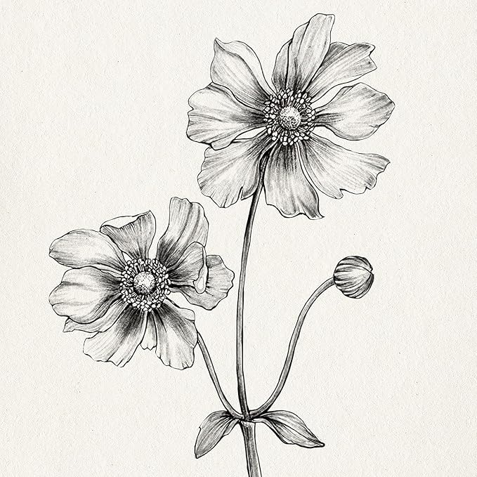 Framed Minimalist Black and White Floral Wall Art, 4 Piece Neutral Rustic Botanical Canvas Artwork for Modern Farmhouse, Vintage Flower Painting Prints for Living Room Bedroom Kitchen Wall Decor,12x16