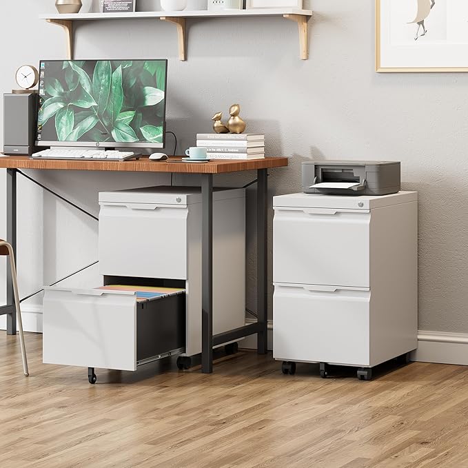 2 Drawer Metal Rolling File Cabinet with Lock, Under Desk Mobile Filing Cabinet for Home Office, Printer Stand with Casters Fits A4/Letter/Legal Size Documents, White