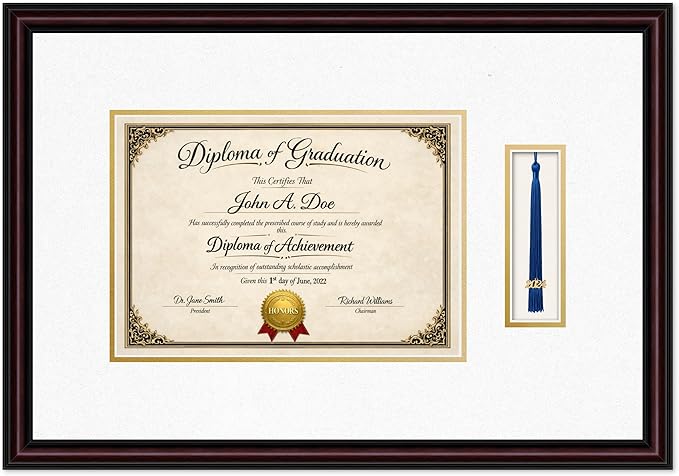 Diploma Frame with Tassel Holder 21.94 x 15.27 Executive Brown Shadowbox Oyster Shell Over Gold Mat - Fits 11.69 x 8.27 Degree Made in the USA