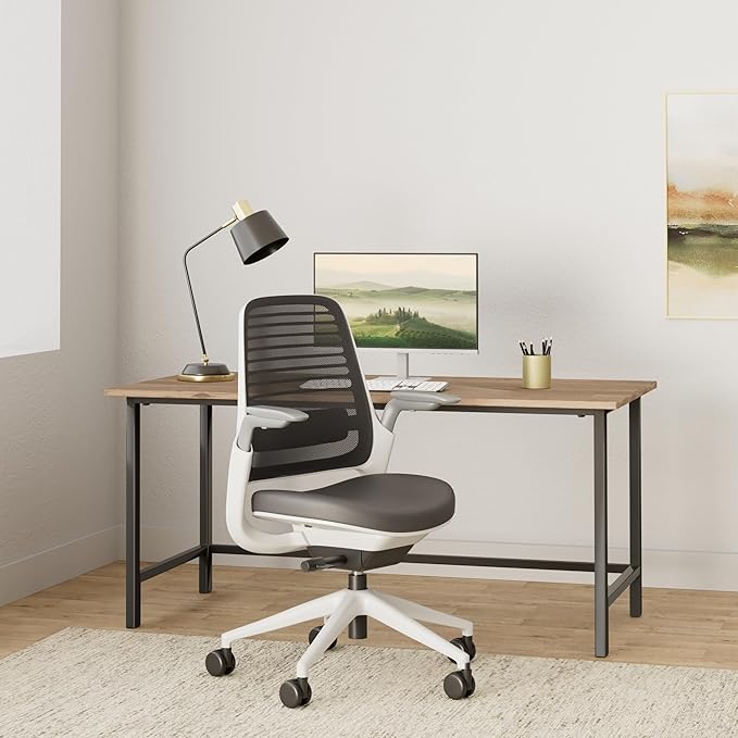 Steelcase Series 1 Office Chair - Ergonomic Work Chair with Wheels for Carpet - Helps Support Productivity - Weight-Activated Controls, Back Supports & Arm Support - Easy Assembly - Graphite, Light