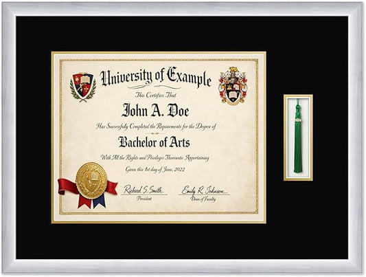 CountryArtHouse Diploma and Tassel Frame Fits 15 x 12 Military/Government with Tassel Hook Stainless Silver Genuine Hardwood Shadowbox with Black Over Metallic Gold Double mat