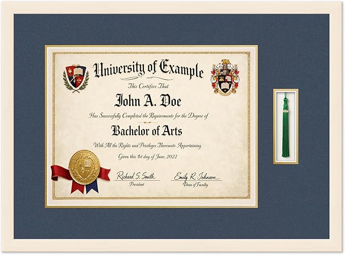 CountryArtHouse Diploma and Tassel Frame Fits 17 x 13 International Diploma with Tasse Coastal Whitewash Genuine Hardwood Shadowbox with Navy Blue Over Metallic Gold Double mat