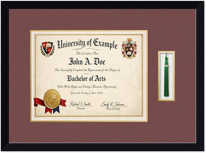 CountryArtHouse Diploma and Tassel Frame Fits 14 x 11 College Diploma (Modern) with Tassel Ho Matte Black Genuine Hardwood Shadowbox with Dark Red Over Metallic Gold Double mat