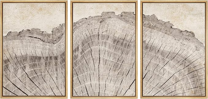 SIGNWIN Framed Canvas Print Wall Art Set Retro Close Up Oak Wood Tree Rings Nature Wilderness Illustrations Modern Art Decorative Farmhouse Zen for Living Room, Bedroom, Office - 16"x24"x3 Natural