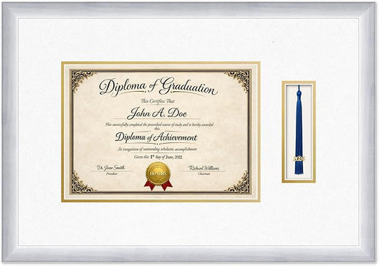 Diploma Frame with Tassel Holder 21.94 x 15.27 Stainless Silver Shadowbox Oyster Shell Over Gold Mat - Fits 11.69 x 8.27 Degree Made in the USA