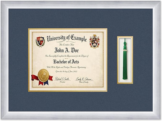 CountryArtHouse Diploma and Tassel Frame Fits 10 x 8 Professional License with Tassel H Stainless Silver Genuine Hardwood Shadowbox with Navy Blue Over Metallic Gold Double mat