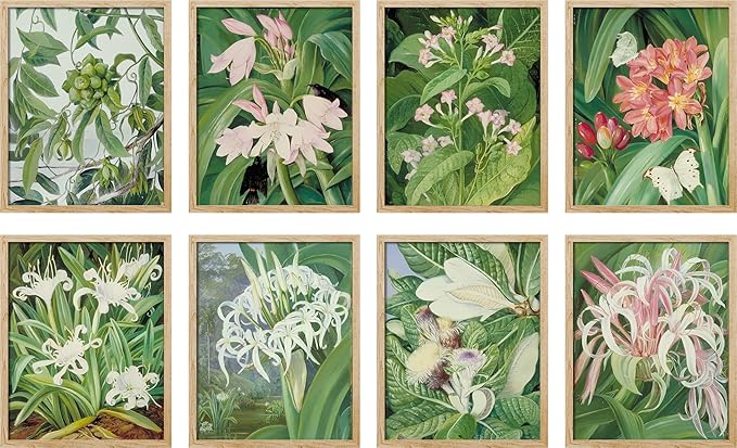 SIGNWIN Adhesive Canvas Poster Bathroom Decor, Wall Art Room Decor Multicolor for Living Room, Bedroom, Office Botanical Floral Garden Zen Flower Classic Vintage Illustrations Bohemian - 12"x16"x 8