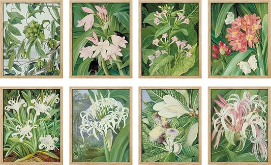 SIGNWIN Adhesive Canvas Poster Bathroom Decor, Wall Art Room Decor Multicolor for Living Room, Bedroom, Office Botanical Floral Garden Zen Flower Classic Vintage Illustrations Bohemian - 8"x10"x 8