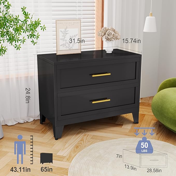 Dresser for Bedroom 2 Drawers, Metal Dresser Chest of Drawers, can be Used as Nightstand, Side Table, Under Desk Steel File Cabinet for Home Office Storage Small Size Files (Black)