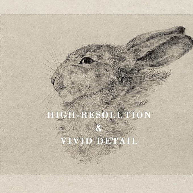 Kizbok Neutral Wall Art Decor, Vintage Rabbit Canvas Painting, Farmhouse Decor Bunny Sketch Drawing for Nursery Wall Decor, Antique Rabbit Gallery Wall Art for Bedroom Bathroom Home(8" x 10"-UNFRAMED)