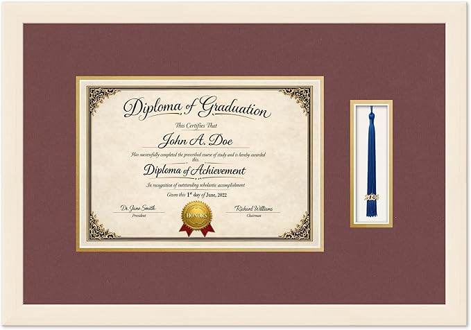 Diploma Frame with Tassel Holder Coastal Whitewash Shadowbox Dark Red Over Gold Mat - Fits 11.69 x 8.27 Degree Made in the USA