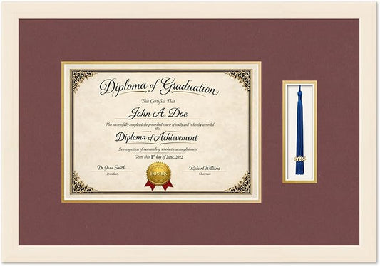 Diploma Frame with Tassel Holder Coastal Whitewash Shadowbox Dark Red Over Gold Mat - Fits 11.69 x 8.27 Degree Made in the USA