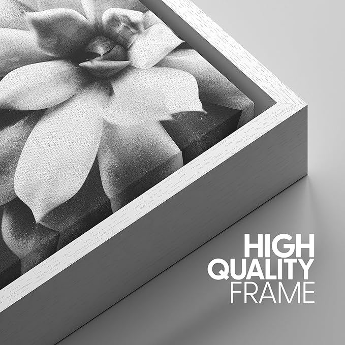SIGNWIN Framed Wall Art Print Set Echeveria Succulent Variety Nature Plants Photography Modern Art Closeup Relax/Calm Dark Black and White for Living Room, Bedroom, Office - 24"x36"x3 White