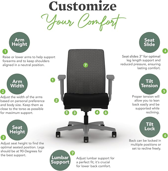 HON Ignition 2.0 Low Back Task Chair, Spectrum Mesh, Advanced Synchro-Tilt Control, Office Chair with Lumbar Support, Height and Width Adjustable Arms, Titanium Frame, Leaf