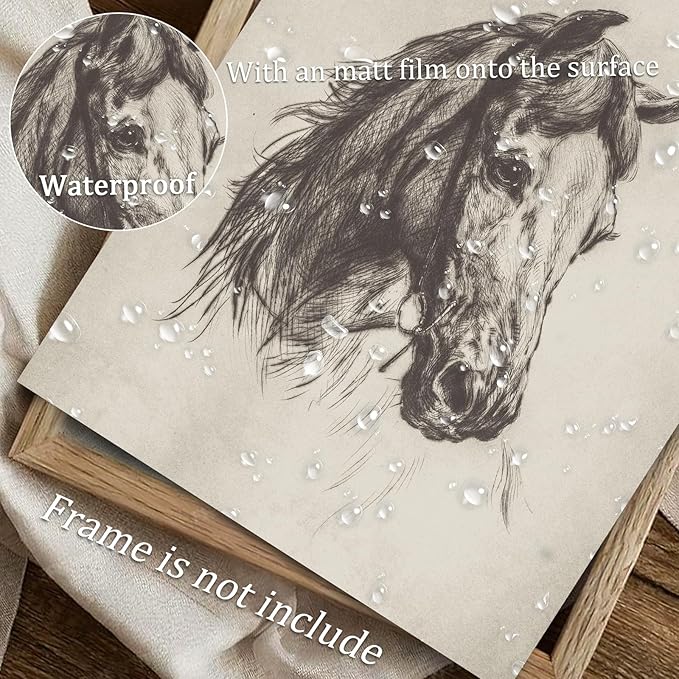 uniro Vintage Horse Etching Sketch Equestrian Retro Wall Art Print Farmhouse Animal Farm Drawing Horse Lover Gift Cottagecore Decor Minimalist Mid Century French Country Room Decor (8" x 10"-UNFRAMED)