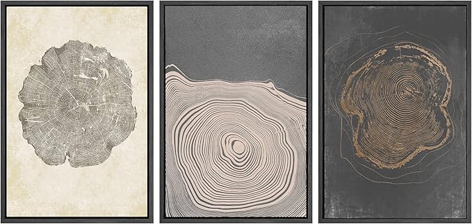 SIGNWIN Framed Canvas Print Wall Art Set Pastel Gray Wood Tree Ring Spirals Nature Abstract Drawings Modern Art Decorative Contemporary Minimal for Living Room, Bedroom, Office - 24"x36"x3 Black