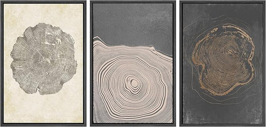 SIGNWIN Framed Canvas Print Wall Art Set Pastel Gray Wood Tree Ring Spirals Nature Abstract Drawings Modern Art Decorative Contemporary Minimal for Living Room, Bedroom, Office - 24"x36"x3 Black