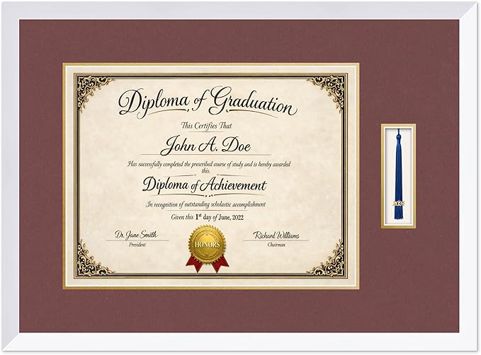 Diploma Frame with Tassel Holder Bright White Shadowbox Dark Red Over Gold Mat - Fits 17 x 13 Degree Made in the USA