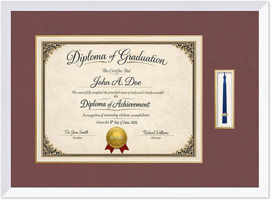Diploma Frame with Tassel Holder Bright White Shadowbox Dark Red Over Gold Mat - Fits 17 x 13 Degree Made in the USA