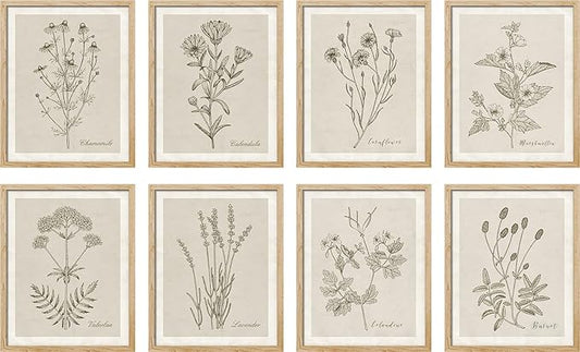 SIGNWIN Framed Poster Wall Art Set of Wildflower, Botanical Floral, Minimalist Decor, Vintage Poster for Living Room, Bedroom, Office - 11"x14"x 8 Natural
